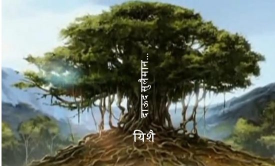 यशायाह के द्वारा राजवंश के लिए उपयोग किया हुआ चित्र एक बड़े बरगद के वृक्ष की तरह है, जो अपनी जड़ - यिशै से वृक्ष के तने का विस्तार करती है। 